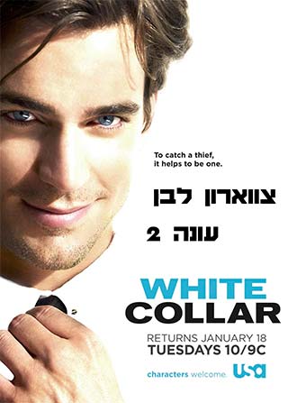 Белый воротничок 5 сезон