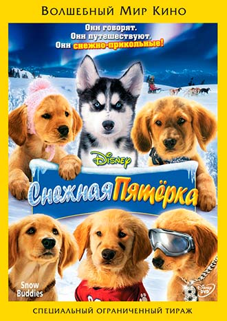 Снежная пятерка