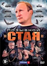 Позывной «Стая» 1, 2 сезон