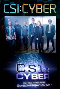 CSI: Киберпространство 1 сезон